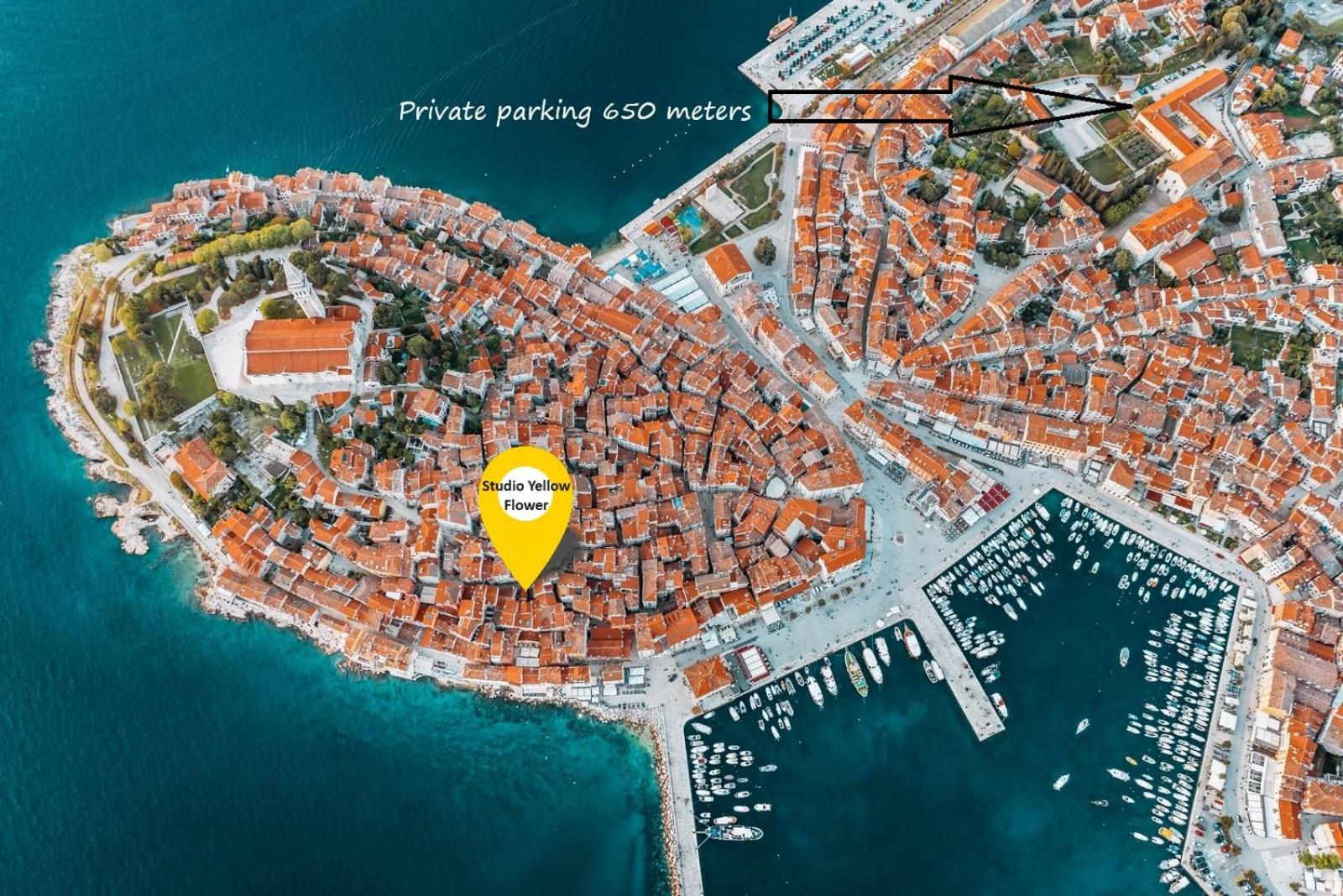 Studio Yellow Flower Rovinj Kültér fotó