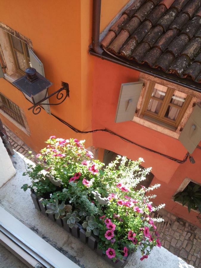 Studio Yellow Flower Rovinj Kültér fotó